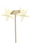 Starfish Studs
