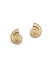 Gold Conch Shell Studs